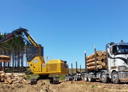 Tigercat Feller Buncher Ab Equipment Tigercat Feller Buncher Ab Equipment