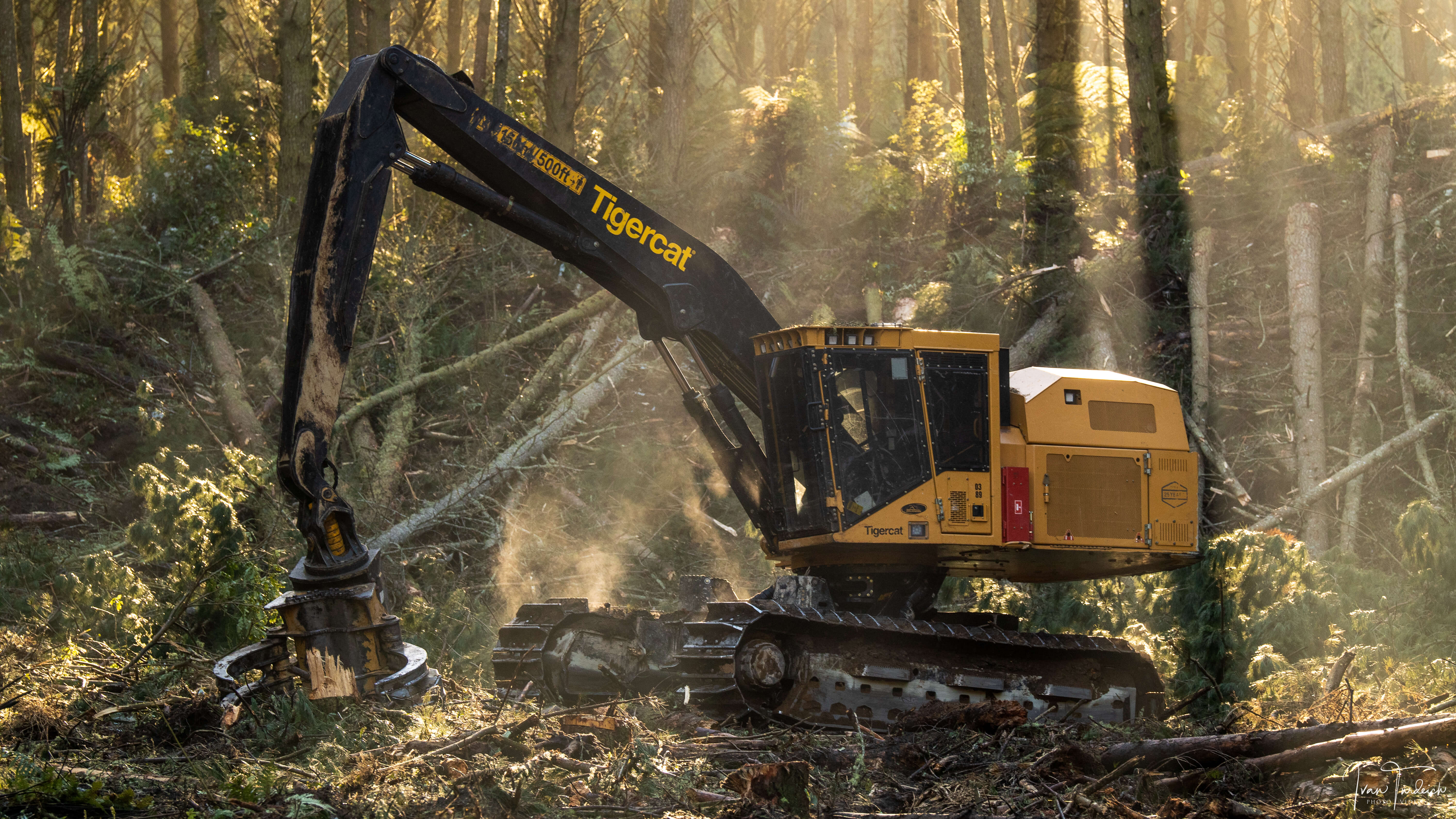Tigercat Feller Buncher Ab Equipment