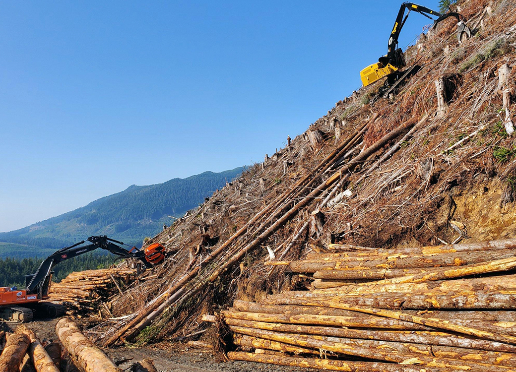 Timbermax Traction Winch 3