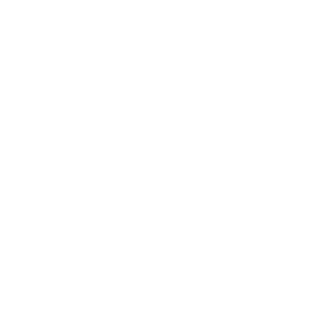 Timbermax Logo White